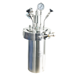 High pressure reactor RVDS-1-5000
